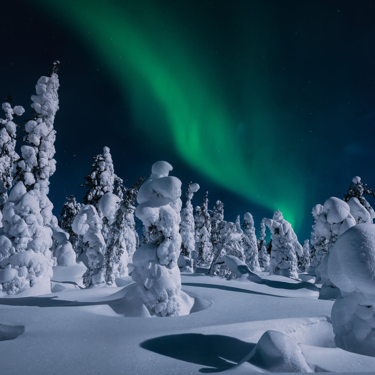Lapland Aurora World