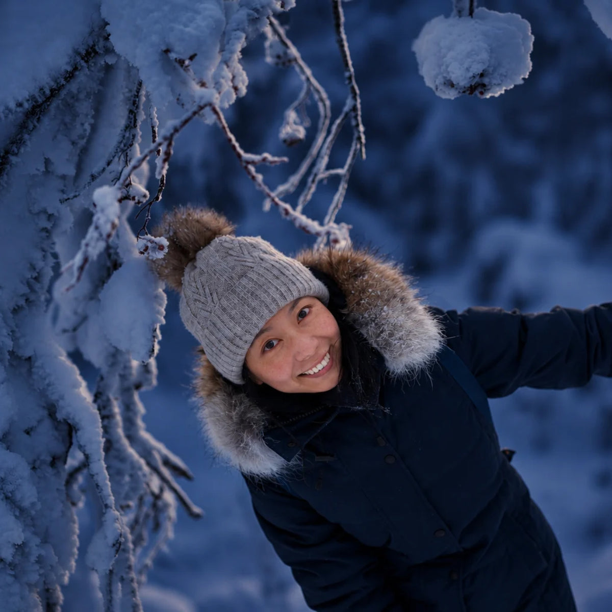 Lapland Aurora World