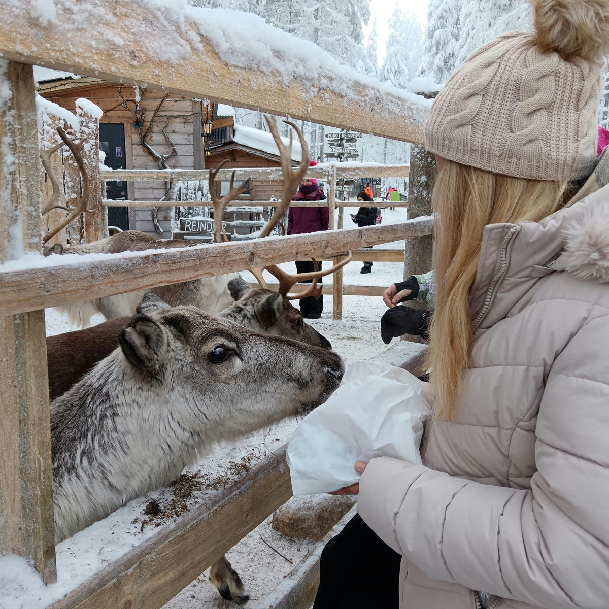 Lapland Aurora World – Story-Driven Snowshoe Experience