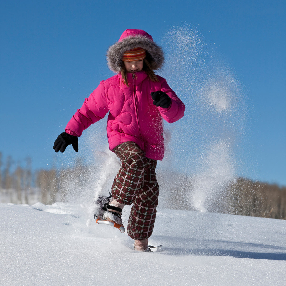 Lapland Aurora World – Story-Driven Snowshoe Experience