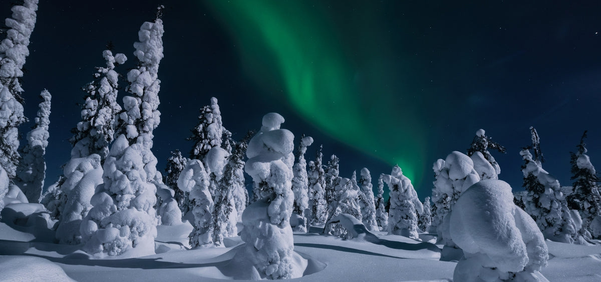 Lapland Aurora World