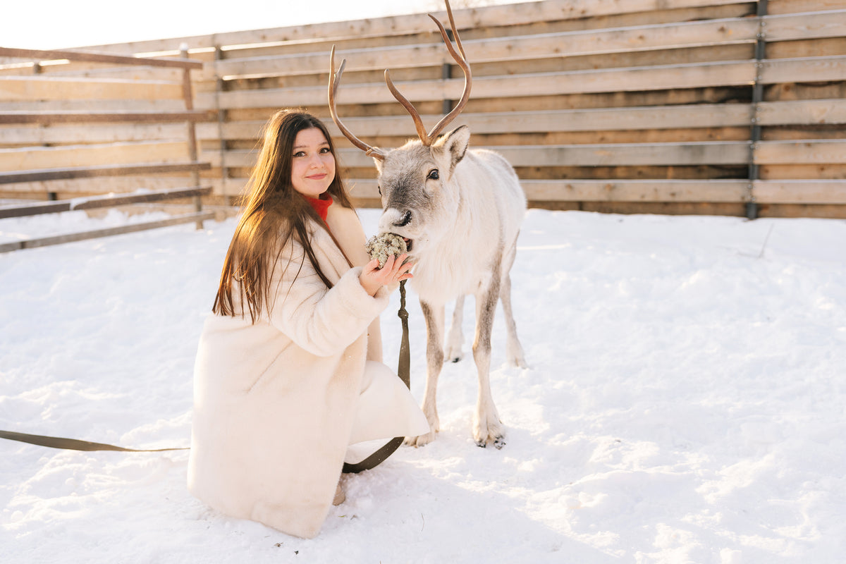 A woman in a long cream coat kneels in the snow beside a large white reindeer with antlers, holding a small plant for the animal. A wooden fence is visible in the background.